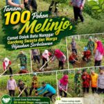 Tanam 100 Pohon Melinjo, Camat Dolok Batu Nanggar Gandeng Swasta dan Warga Hijaukan Serbelawan
